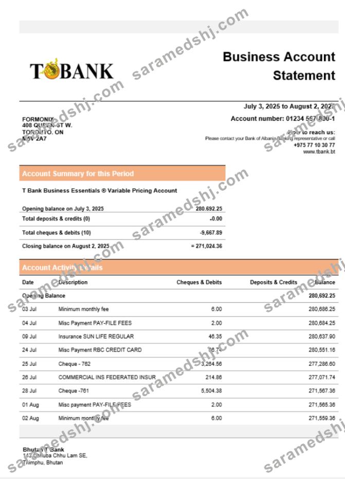 T bank business bank statement Word and PDF format